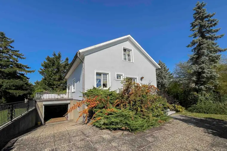 McMakler Team Österreich