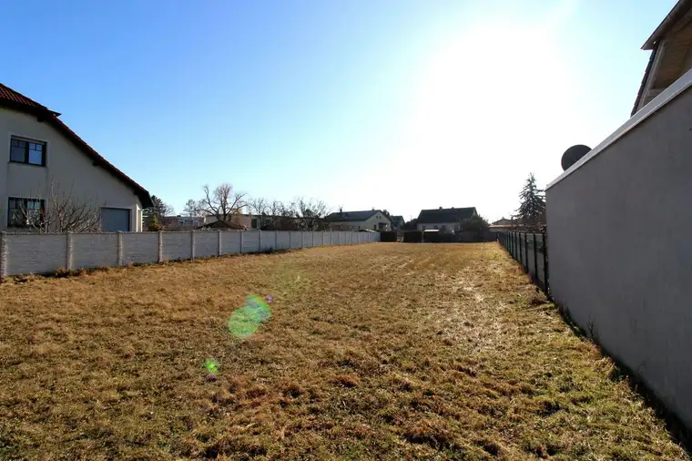 McMakler Team Österreich