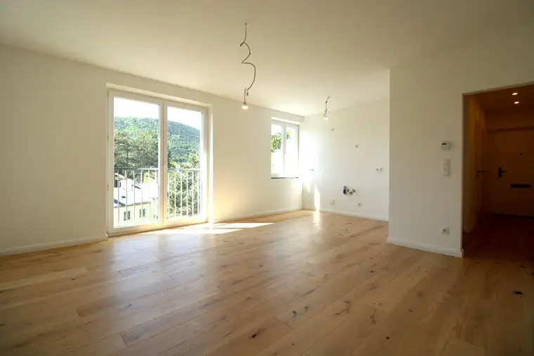 Koffer packen und einziehen! Erstbezug nach Kernsanierung mit traumhaftem Ausblick in Hinterbrühl