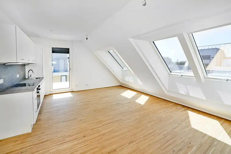1 Monat Mietfrei! PFALZGASSE 29 - TRAUMHAFTER ERSTBEZUG IN RUHELAGE - 2-Zimmer-Wohnung mit Terrasse
