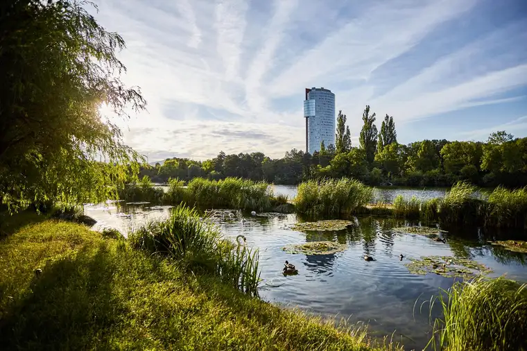 PEAK VIENNA - 708m2, sofort bezugsfertig, sehr attraktiver Mietpreis