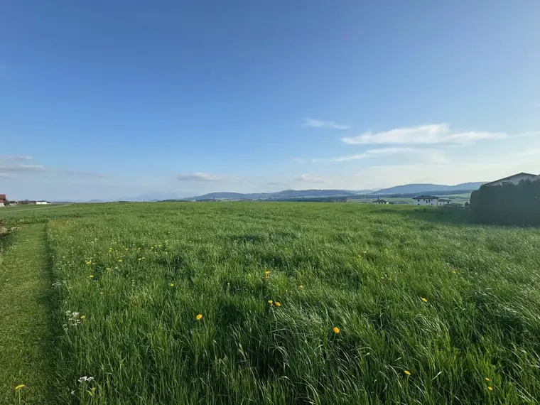 931 m2 Baugrund für Eigenheim mit Berg- und Fernblick | Pöndorf in Oberösterreich