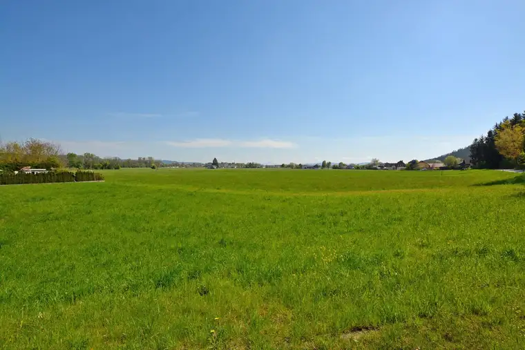 Attraktive Baugrundstücke in der Nähe von Pfaffstätt / Mattighofen