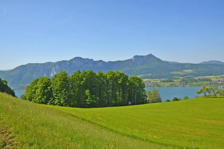 Exklusive 4 Zimmer Gartenwohnung im Projekt "Mondseeblick„