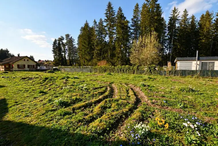Ruhiges Baugrundstück in Bürmoos – ca. 571 m², provisionsfrei