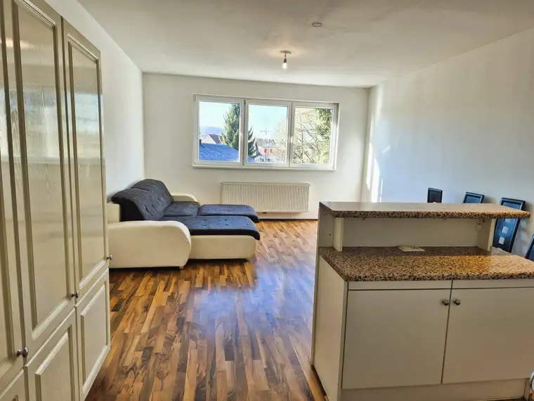 3-Zimmer Wohnung im Bezirk Puntigam