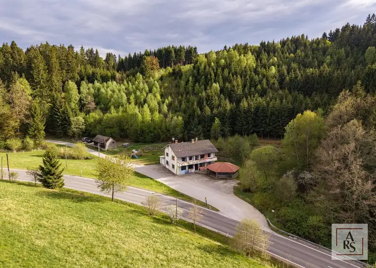 Liegenschaft mit Potenzial- Wohnen und Arbeiten