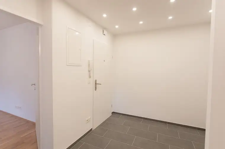 GROSSARTIGE LAGE IN LIESING!!! Komplett sanierte 3 Zimmer Eigentumswohnung in 1230 Wien - Erstbezug nach Kernsanierung - provisionsfrei zu verkaufen!
