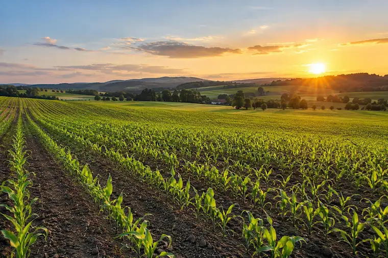 ca. 6 ha landwirtschaftlicher Nutzgrund - Bezirk GMUNDEN - erweiterbar
