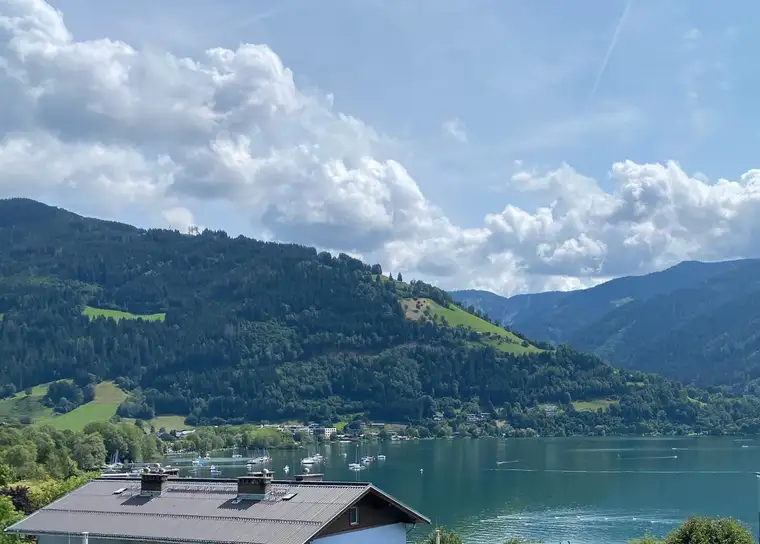 Martin Müllner, qualis IMMOBILIEN