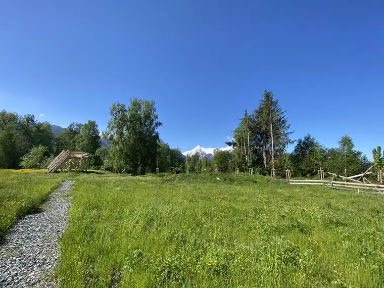 Martin Müllner, qualis IMMOBILIEN