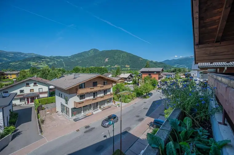 Martin Müllner, qualis IMMOBILIEN