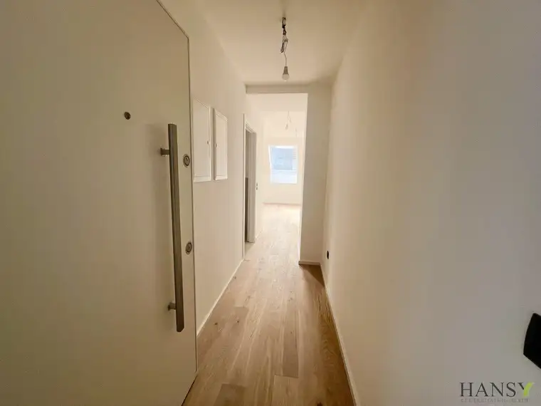 Über den Wolken - Traumhafte Neubau Maisonette-Dachgeschosswohnung mit Blick auf die Gloriette!