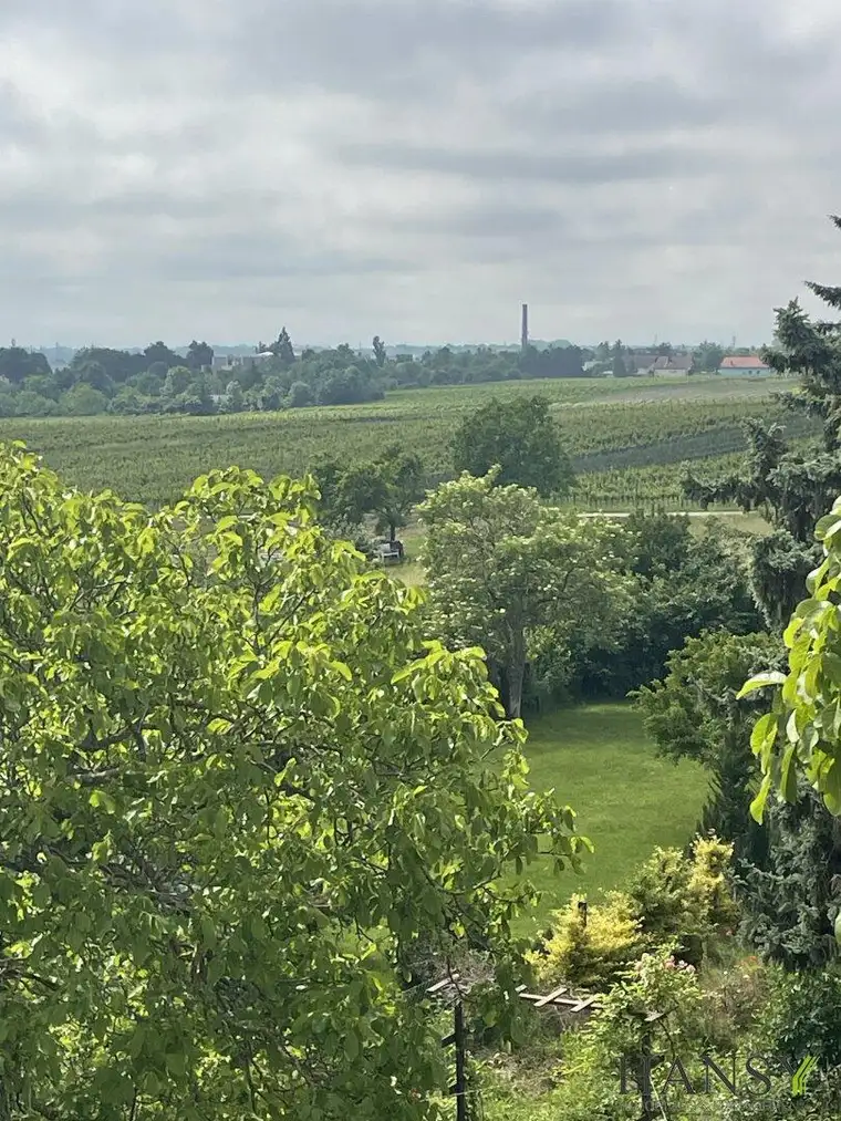 Traumhaftes Baugrundstück in Sooß – 2059m² für Ihr Eigenheim um nur 1.150.000 €!