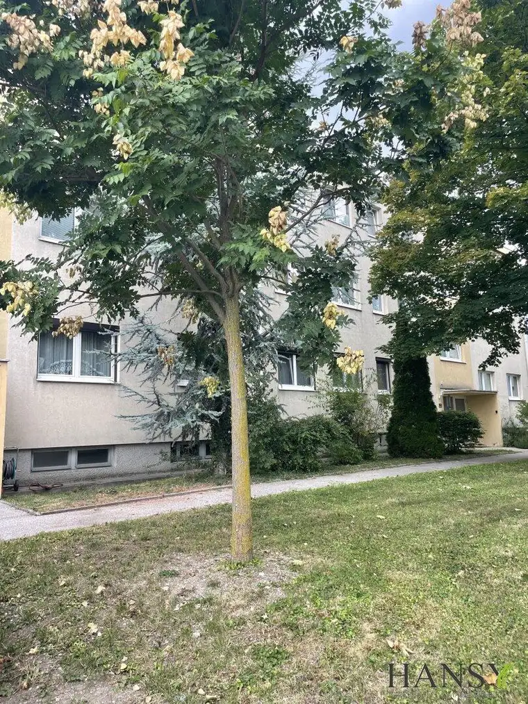 Traumhafte 3-Zimmer-Wohnung in Gumpoldskirchen – Loggia neu saniert! Jetzt zuschlagen!