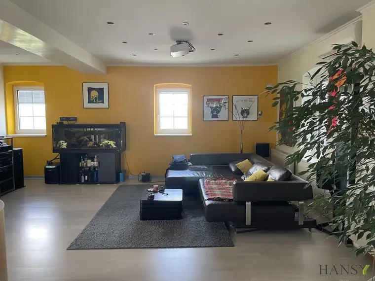 GUNTRAMSDORF - Großzügige Maisonette mit Terrasse, Garage &amp; Klimaanlage
