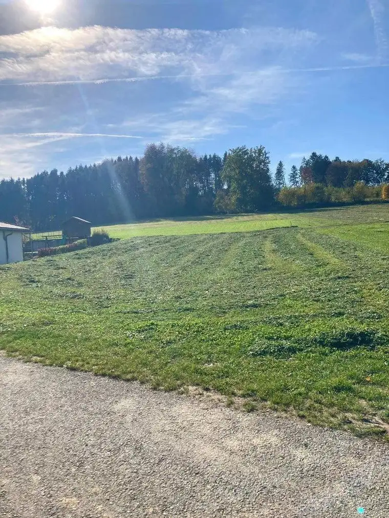 Ruhiger Baugrund am Rande Wieselburgs - perfekte Lage