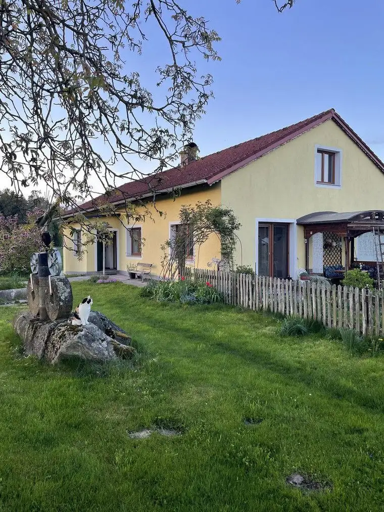 160 m² Altbauwohnung im Dreikanthof – 8 Zimmer mit großem Garten, Garage &amp; Keller