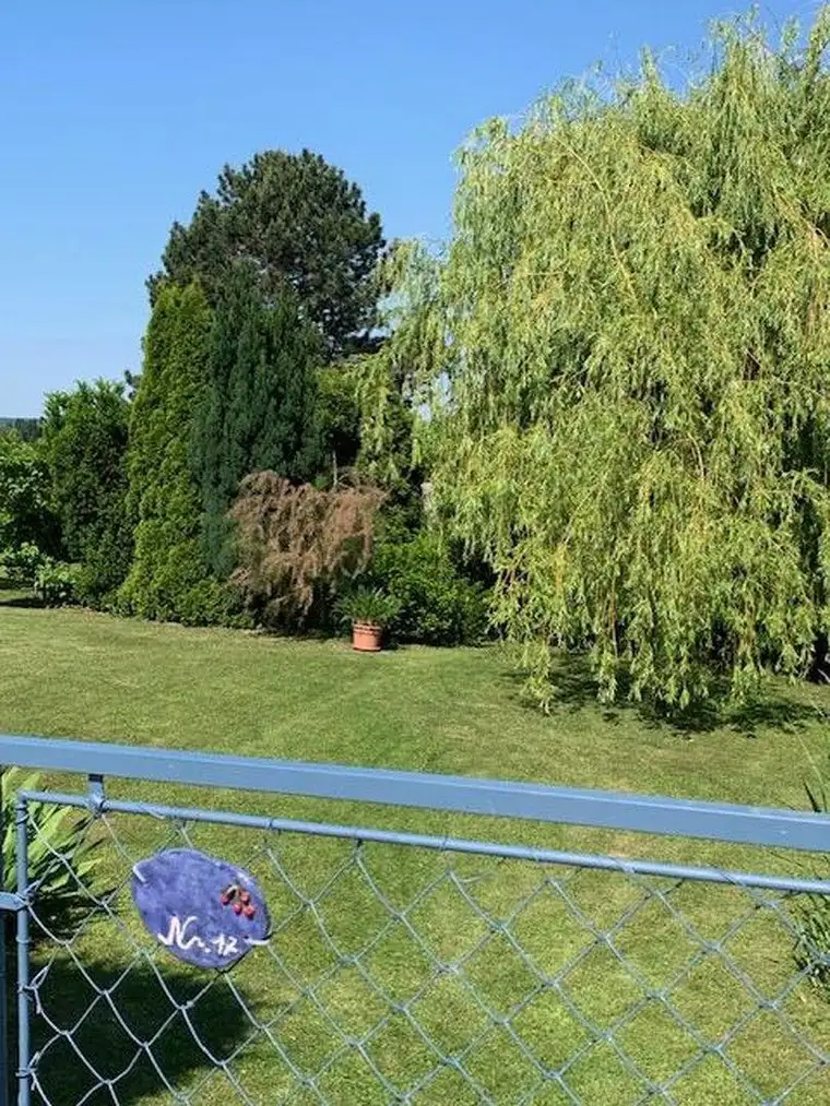 Garten - Baugrundstück
