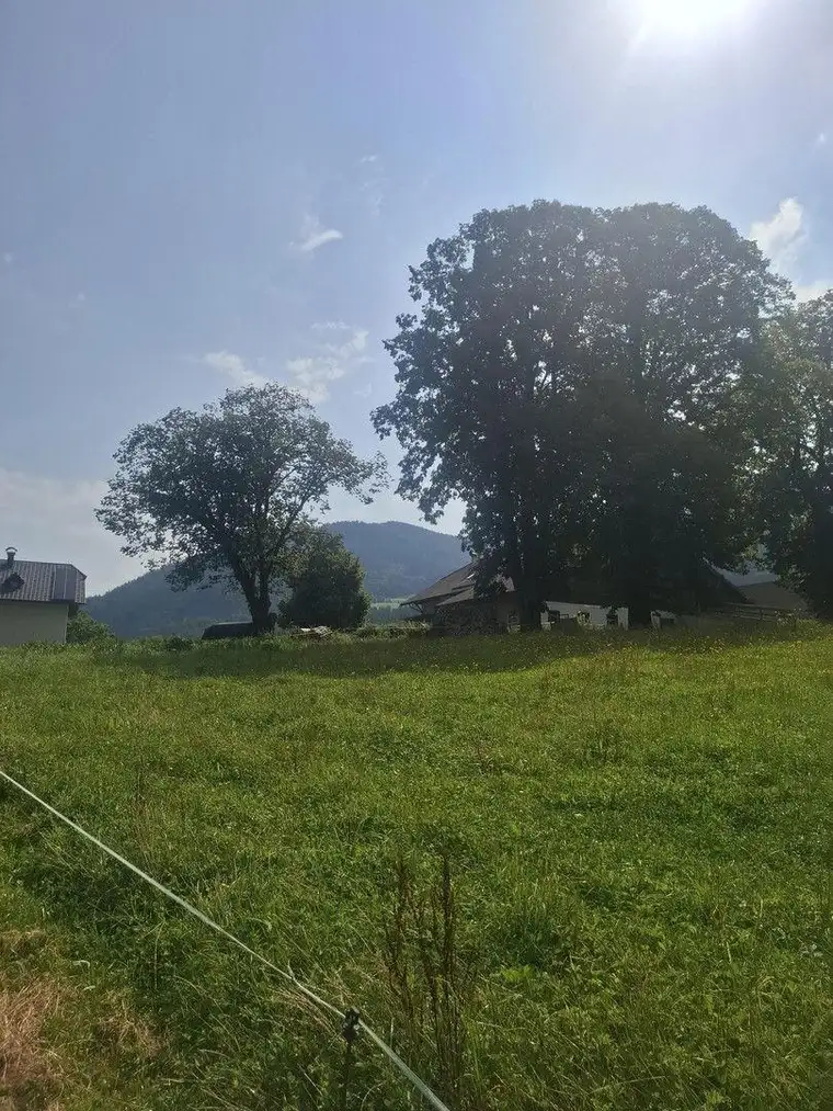 Baugrund