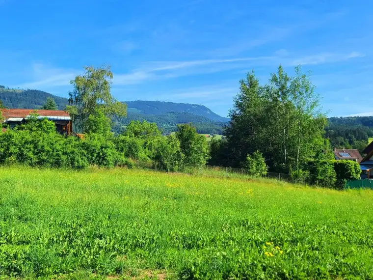 Sonnenlage am Waldrand, Schöcklblick, aufgeschlossen &amp; frei von Servituten (1 in Verhandlung/1 frei)