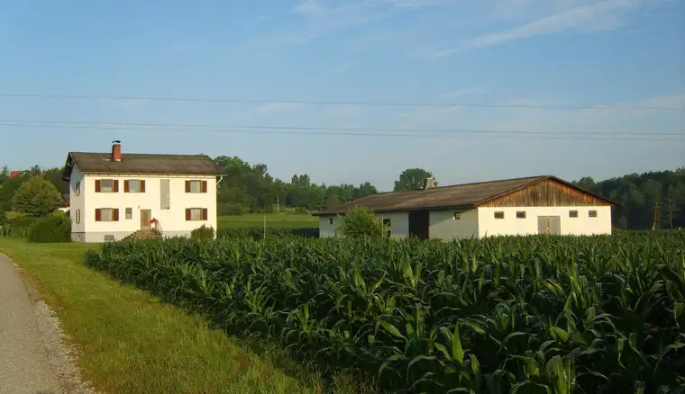 Landwirtschaft mit Potential