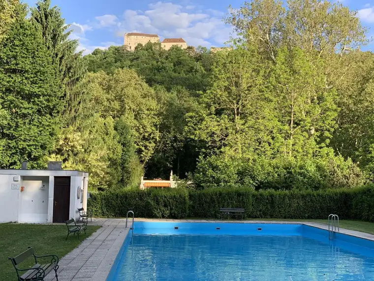 Wohnen im Schlosspark Seebenstein nahe Wien - Mitten im Park mit Pool