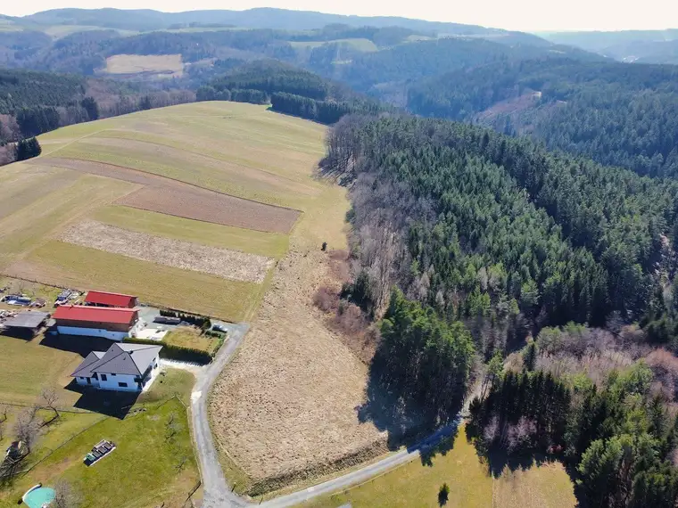 Provisionsfrei und ohne Bauzwang - Baugrund mit 2600m2