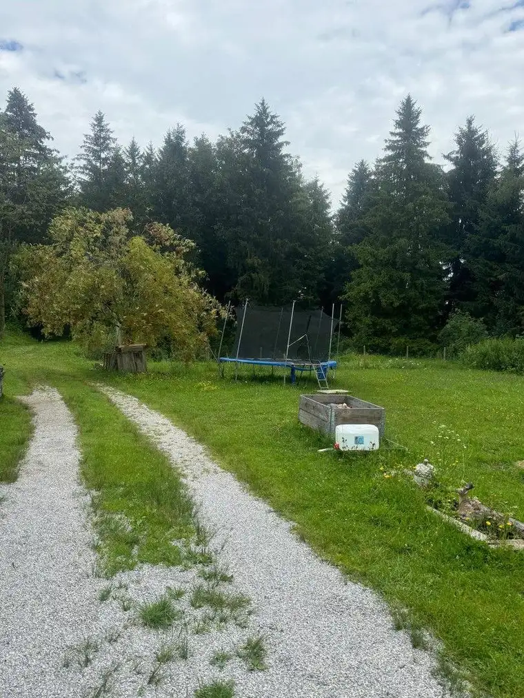 Freizeitgund mit Wald Wiese und fischteich