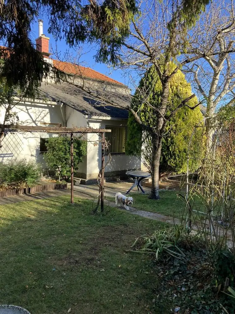 Schönes Grundstück mit älterem Wohnhaus in Gumpoldskirchen