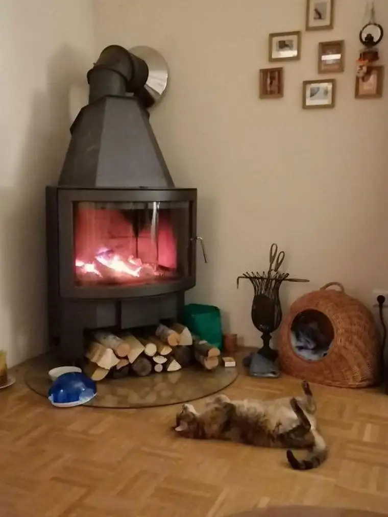 Charmante Wohnung