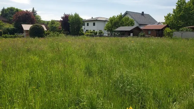 Ideales Traumgrundstück in Seewalchen am Attersee