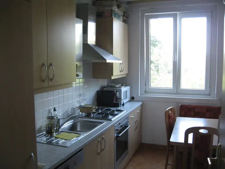 Sofortbezug. Mietpreisgarantie. WIEN 13, SPEISING, 66m² in Grünruhelage, TEILMÖBLIERT