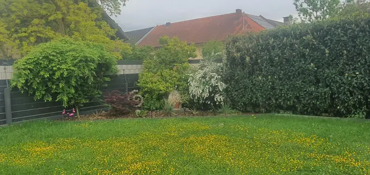 Einfamilienhaus in der Gemeinde Oftering
