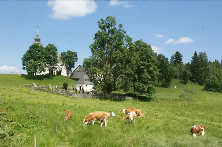 RARITÄT AUF DER ALM