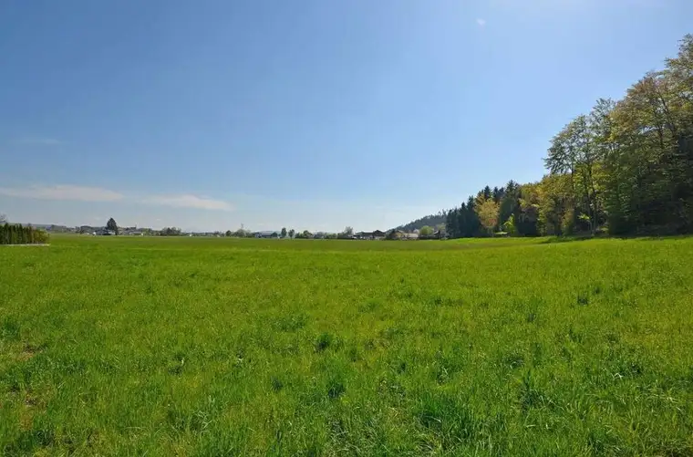 Attraktiver Baugrund mit 1100qm in Pfaffstätt bei Mattighofen