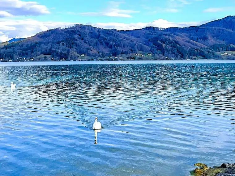 HAUS am ATTERSEE – PRIVAT