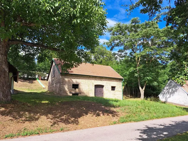 Presshaus in idyllischer Lage mit Weinkeller