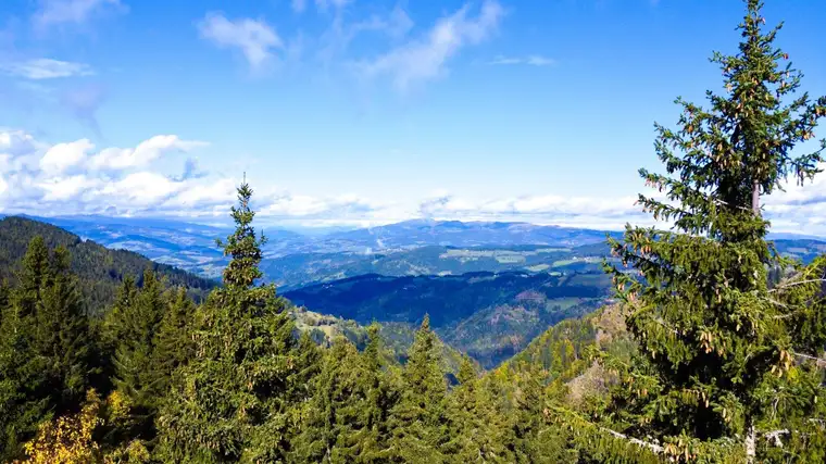 Sonniges Paradies auf der Koralpe: 1479,3m² Baugrund mit Skipisten-Nähe, ohne Baupflicht und atemberaubendem Talblick Richtung Wolfsberg!