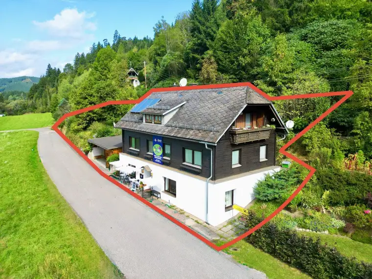Charmantes Gasthaus mit zwei Wohnungen, großem Grundstück und Carport – ideal für Gastgeber, Familien oder als Ferienbetrieb