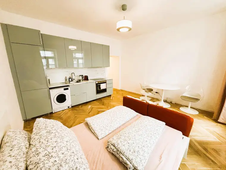 Ervin Palfy M.A., Palfy Real Estate GmbH