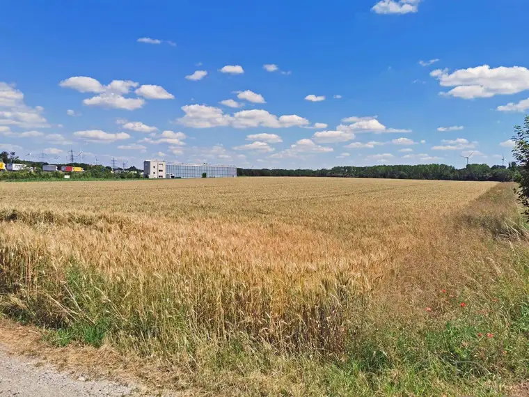 DB IMMOBILIEN | 55 152 m² großes Ackerland zu verkaufen!