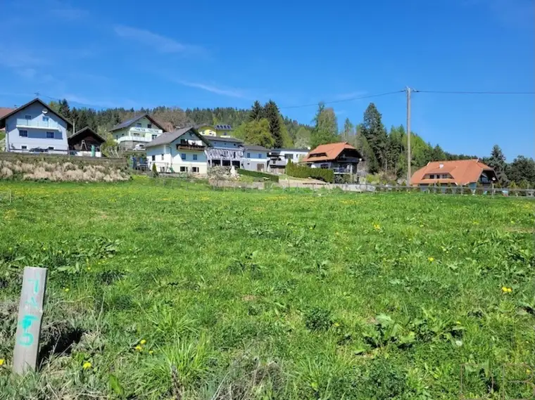 Sonniges Grundstück in St. Nikolai