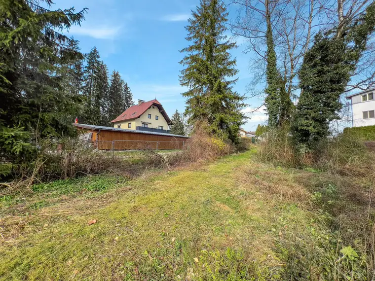 David Deindl, David Deindl Immobilien GmbH