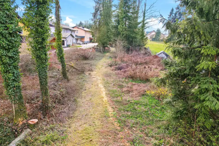 GRUNDSTÜCK MIT POTENZIAL IM GRÜNEN – IDEAL FÜR INDIVIDUELLE WOHNTRÄUME