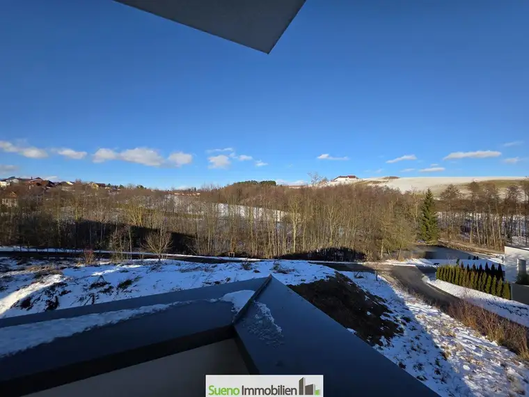 NEUE Doppelhaushälfte 3 Etagen mit PENTHOUSE-Terrasse in ruhiger Siedlungslage mit top Ausblick