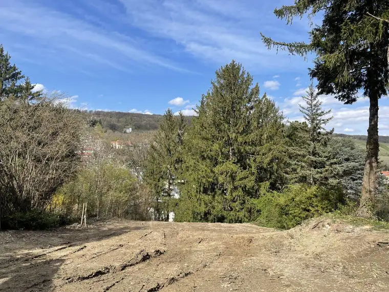 Idyllischer Baugrund für Luxusvilla mit Baugenehmigung