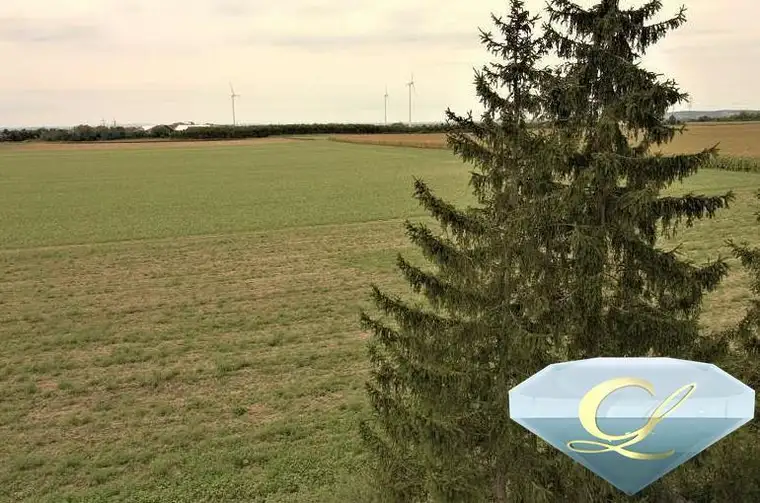 Heimkommen und Energie "tanken" - Finanzierung ab € 558,39/Monat möglich