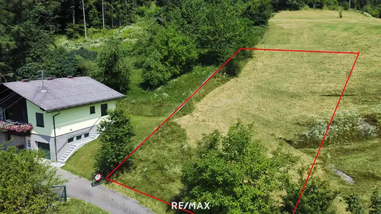 Sonniger Baugrund am Waldrand nähe Feldkirchen