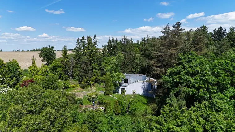 Erstklassiges Baugrundstück in Buchkirchen – Panoramaausblick bis in die Berge